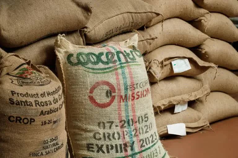 Мішки зі свіжим зеленим зерном арабіки для обсмажування – Hipsters Coffee Roastery